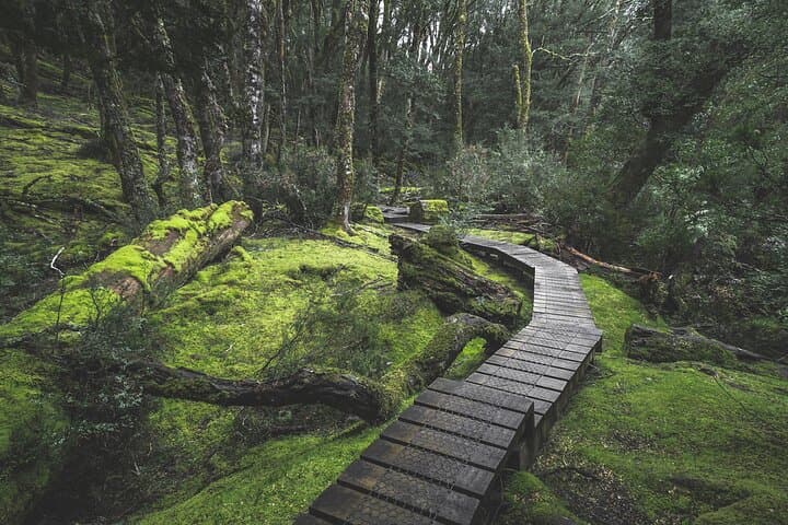 2-Day Cradle Mountain and Wineglass Bay: Tasmania’s Twin Icons in a Weekend photo 6