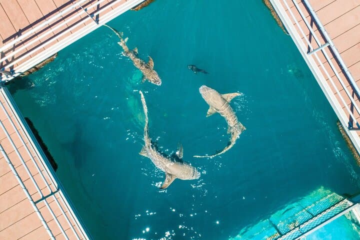 Horizontal Falls Helicopter Adventure — Broome to Talbot Bay photo 6
