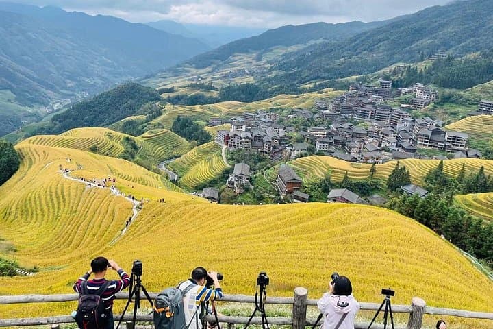 Longji Longsheng: Dragon's Backbone Rice Terraces Hike & Cultural Villages Day Tour