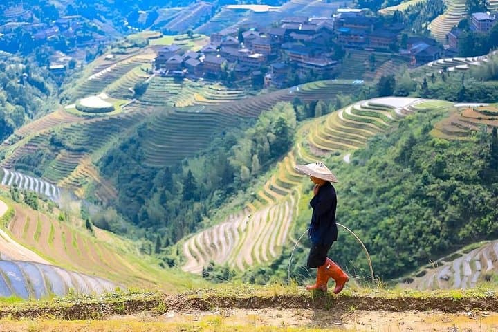 Longji Longsheng: Dragon's Backbone Rice Terraces Hike & Cultural Villages Day Tour photo 4