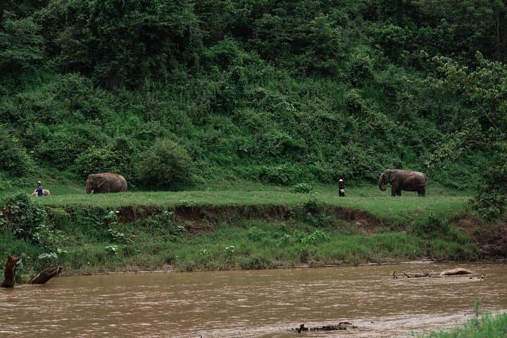 Chiang Mai Sticky Waterfall, Ethical Elephant Sanctuary & Bamboo Rafting Day Trip photo 4