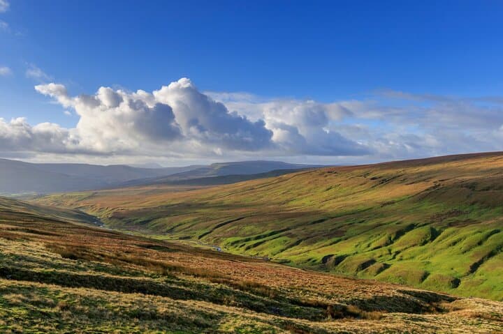 York to Yorkshire Dales: All Creatures Great and Small Filming Locations Tour photo 3