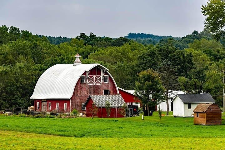 Amish Farm and House Day Tour from Washington DC — Lancaster Amish Country Small-Group Experience photo 4
