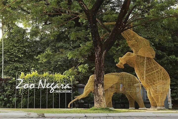 Zoo Negara Kuala Lumpur: Giant Panda Viewing & National Zoo Visitor Guide photo 2