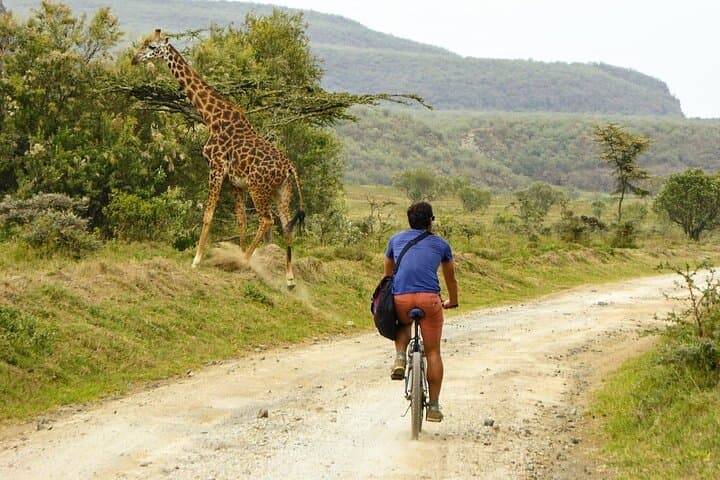 2-Day Hells Gate, Lake Naivasha & Lake Nakuru Safari: Bikes, Boats & Flamingos photo 2