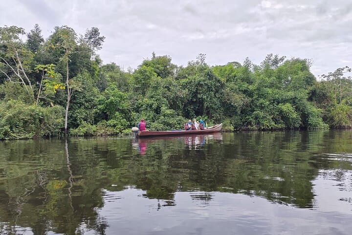 Yacuma Pampas 3-Day Jungle Tour: Pink Dolphins, Caimans & Indigenous Ecolodge