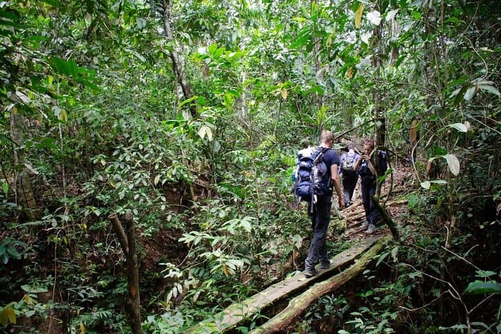 Yacuma Pampas 3-Day Jungle Tour: Pink Dolphins, Caimans & Indigenous Ecolodge photo 3