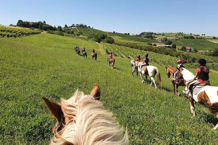 Horseback Riding Through Langhe Vineyards: Scenic Rides from San Marzano Oliveto photo 2