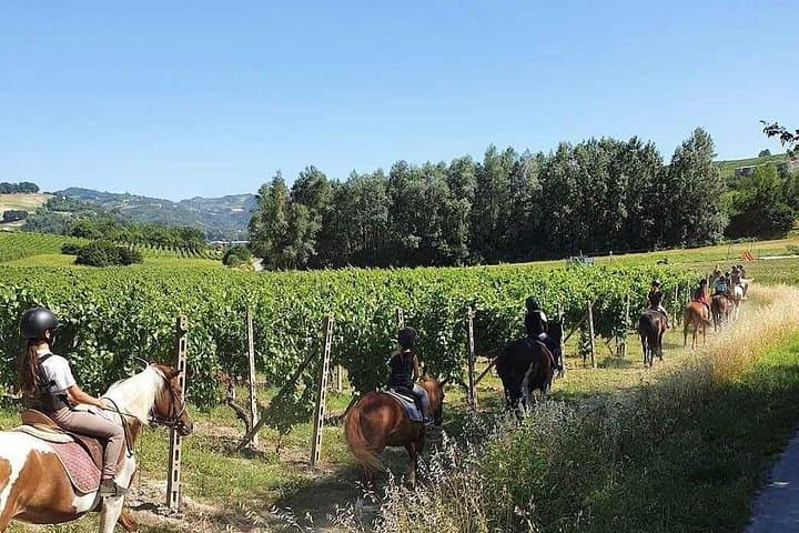 Horseback Riding Through Langhe Vineyards: Scenic Rides from San Marzano Oliveto photo 3