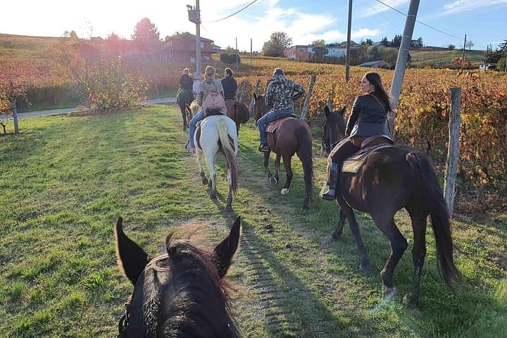 Horseback Riding Through Langhe Vineyards: Scenic Rides from San Marzano Oliveto photo 4