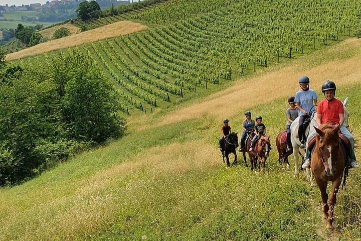 Horseback Riding Through Langhe Vineyards: Scenic Rides from San Marzano Oliveto photo 1
