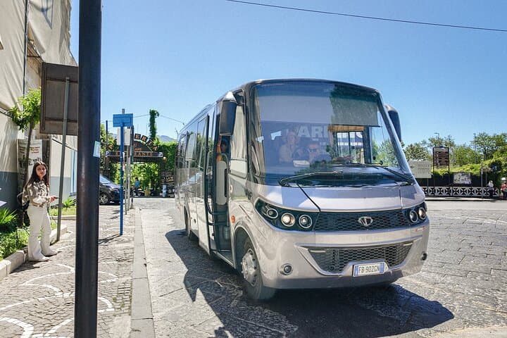 Mount Vesuvius Day Trip from Pompeii: Bus Transfer & Park Ticket Included photo 6
