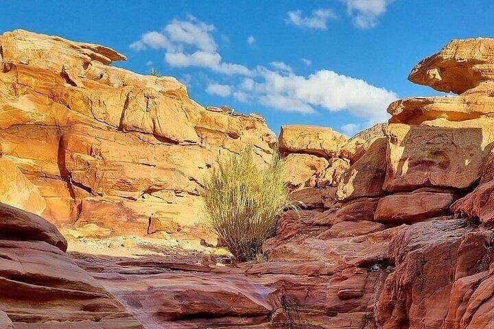 Canyon Salama Jeep Safari and Three Pools Snorkeling from Sharm El Sheikh photo 4