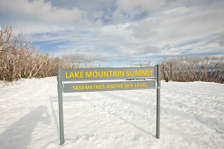 Lake Mountain Snow Play and Steavenson Falls Day Trip from Melbourne photo 3