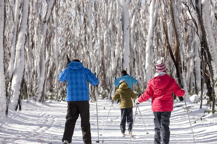 Lake Mountain Snow Play and Steavenson Falls Day Trip from Melbourne photo 2
