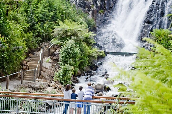Lake Mountain Snow Play and Steavenson Falls Day Trip from Melbourne photo 6