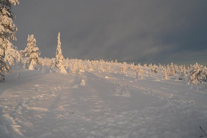 Riisitunturi Guided Hike with Photography — Day Trip from Rovaniemi into Lapland's Hills photo 4