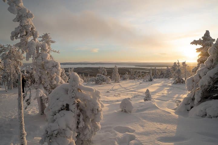 Riisitunturi Guided Hike with Photography — Day Trip from Rovaniemi into Lapland's Hills photo 3