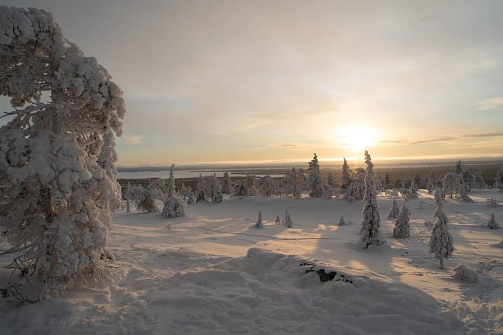 Riisitunturi Guided Hike with Photography — Day Trip from Rovaniemi into Lapland's Hills photo 1