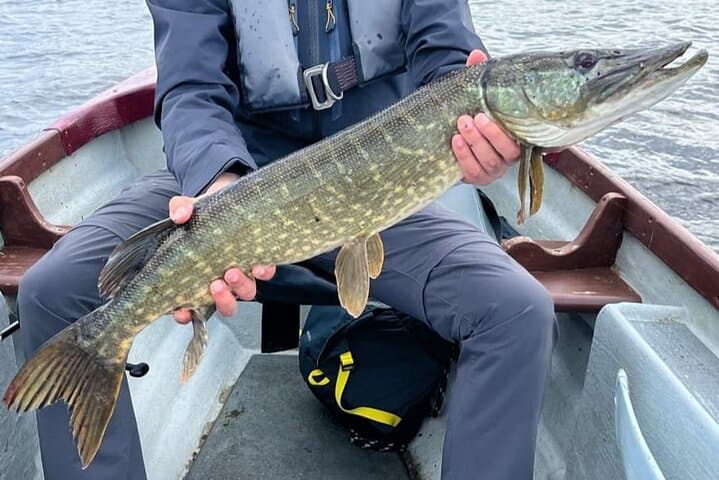 Trophy Pike Fishing on Lough Corrib: Guided Boat Trips in Connemara photo 2