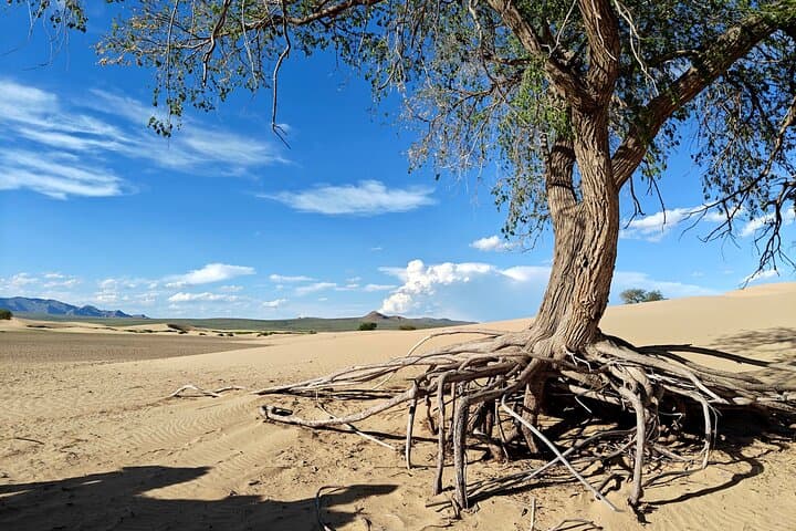 Central Mongolia 3-Day Guided Adventure: Karakorum, Elsen Tasarkhai & Nomadic Life photo 3