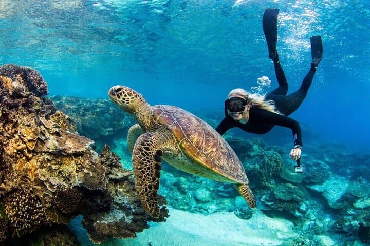 Exploring Bali's Blue Lagoon Snorkeling Adventure