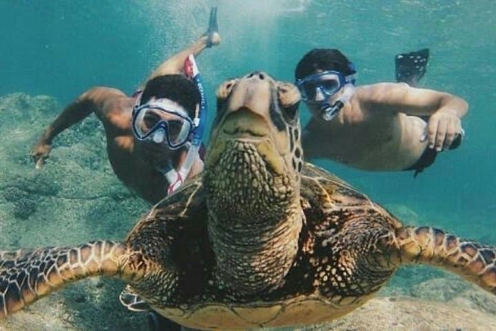Blue Lagoon & Tanjung Jepun Snorkeling Day Trip from Padangbai, Bali photo 6
