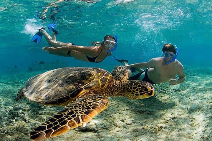 Blue Lagoon & Tanjung Jepun Snorkeling Day Trip from Padangbai, Bali photo 2