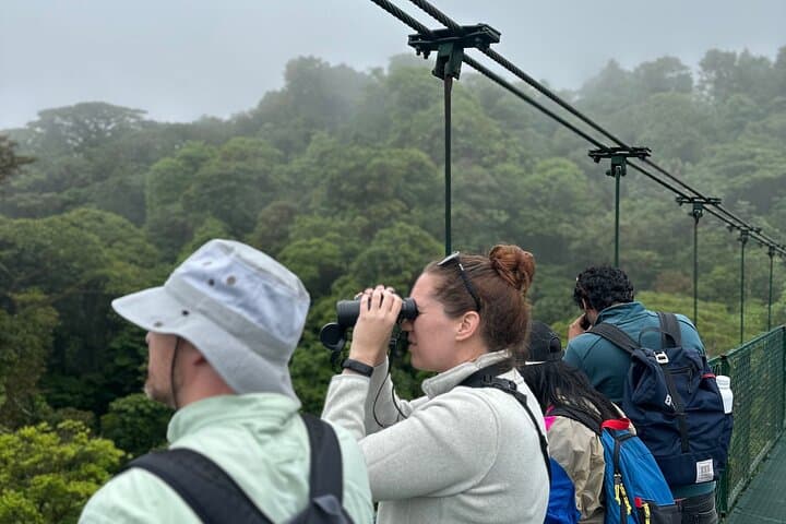 Monteverde Hanging Bridges Private Guided Tour — Cloud Forest Canopy Walk photo 4