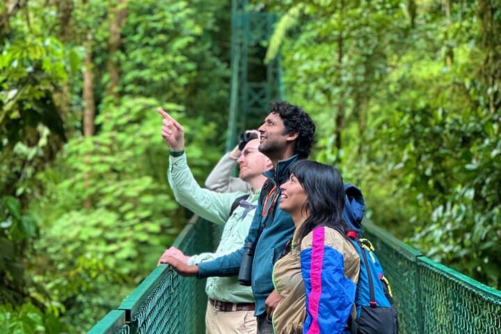 Monteverde Hanging Bridges Private Guided Tour — Cloud Forest Canopy Walk