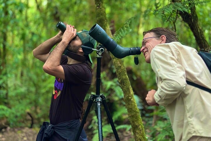 Curicancha Cloud Forest Walk in Monteverde — Guided Nature Walk with Free Binoculars