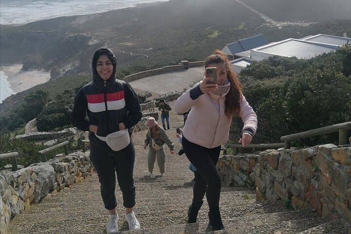 Table Mountain, Boulders Beach & Cape of Good Hope Private Tour — Cape Peninsula Highlights photo 5