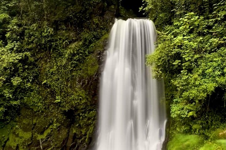El Tigre Waterfall Private Tour — Monteverde Cloud Forest Hike & Horseback Return photo 2