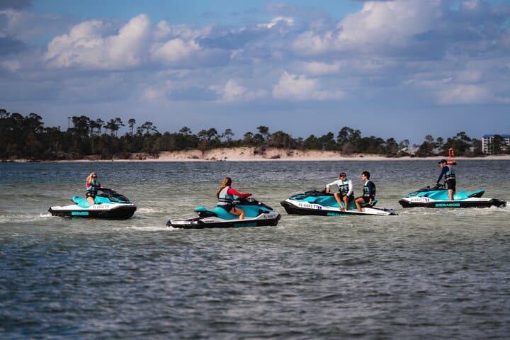 Shell Island Jet Ski Tour: 2-Hour Guided Dolphin & Wildlife Ride from Panama City Beach photo 4
