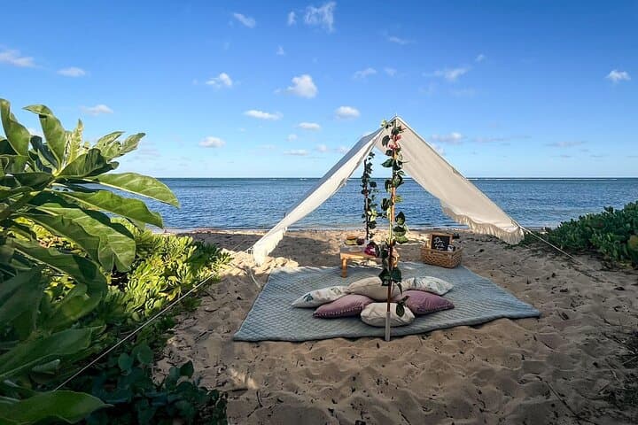 Luxury Picnic in Honolulu: Ocean, Lagoon & Diamond Head Views