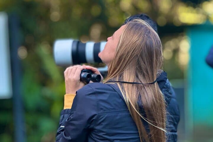 Monteverde Cloud Forest Birding Tour — Quetzals, Hummingbirds & Free Binoculars