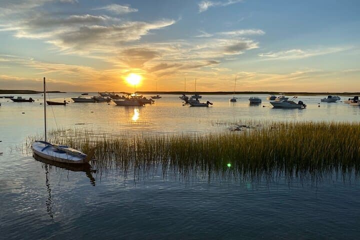 Cape Cod National Seashore Tour and Beech Forest Hike from Provincetown photo 5