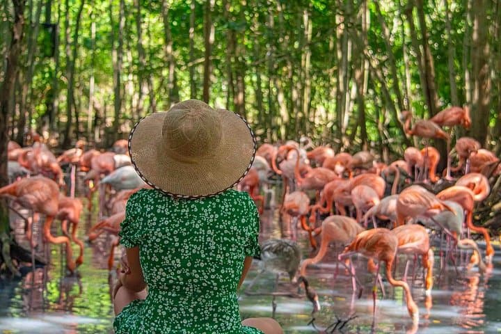 National Aviary & Playa Blanca Private Tour — Birding, Beach and Shuttle from Cartagena photo 4