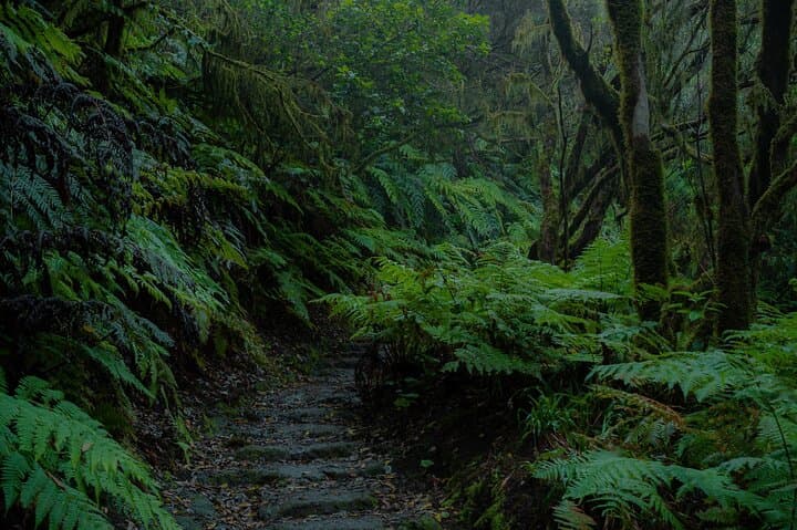 Private Tenerife Photo Tour: Teide, Anaga & Masca in One Day photo 3