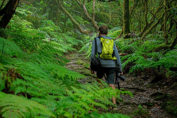 Private Tenerife Photo Tour: Teide, Anaga & Masca in One Day photo 2