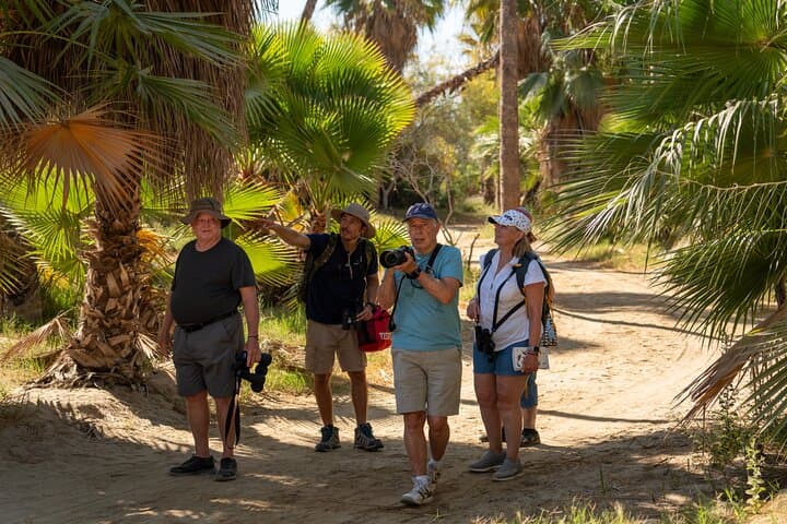 Cabo Birding: San José del Cabo Bird Sanctuary Guided Tour photo 3