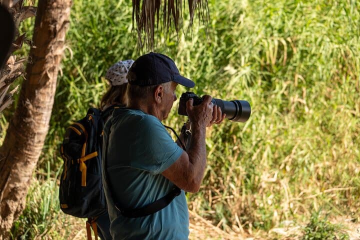 Cabo Birding: San José del Cabo Bird Sanctuary Guided Tour photo 5