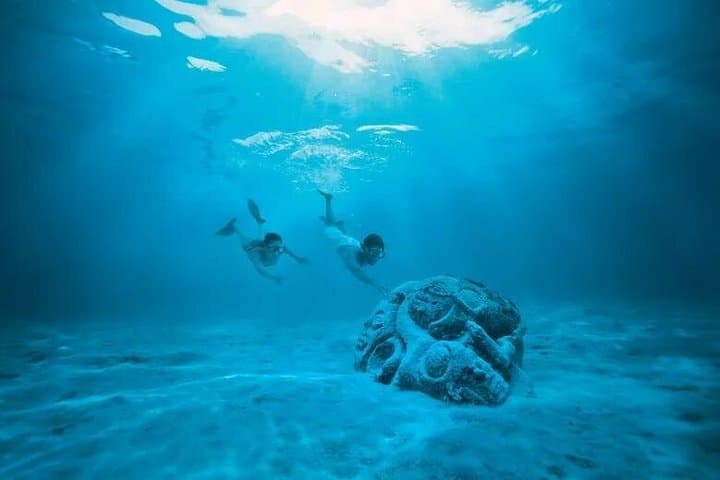 Moorea Lagoon Cruise and Snorkel: 3-Hour Opunohu Bay Tour photo 4