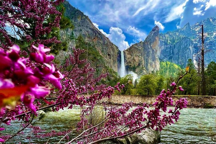 Ultimate Yosemite 5-Day VIP Private Tour: Glacier Point, Tuolumne & Giant Sequoias photo 4