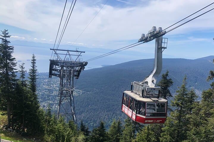 Capilano & Grouse Mountain 5-in-1 Small-Group Nature Tour from Vancouver photo 6