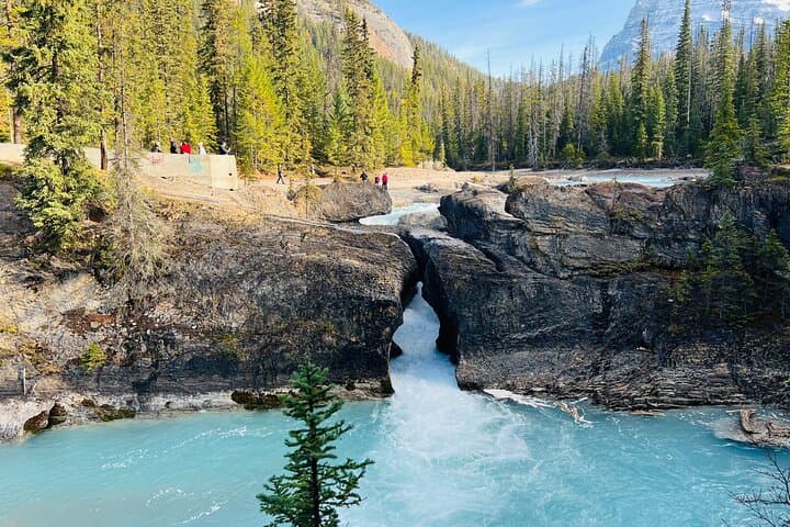 Banff Four-Lakes Tour: Lake Louise, Moraine, Emerald & Peyto (Winter-Ready) photo 5