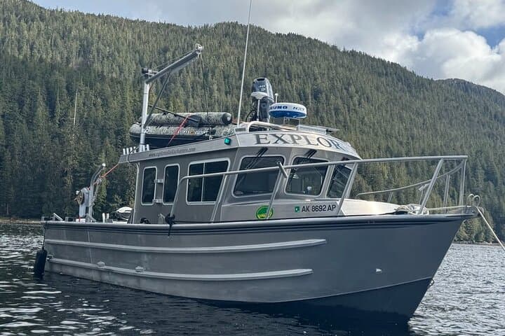 Explore Misty Fjords National Monument: Private Boat Tour from Ketchikan photo 6