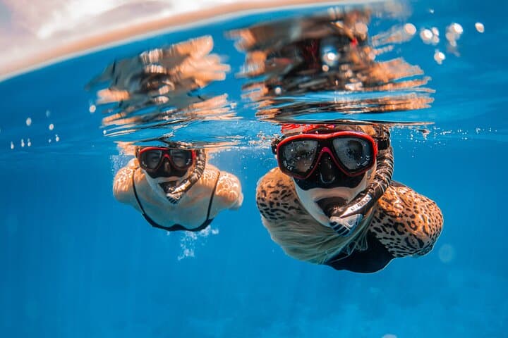 Lanai Snorkel and Dolphin Quest from Maui — Small-Boat Snorkel Tour photo 5