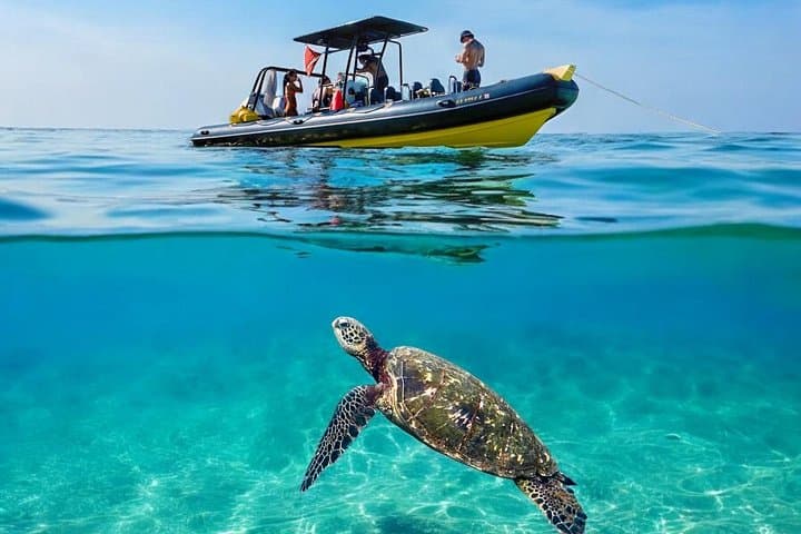 Private Turtle Canyon Snorkel Tour from Waikiki — Private Boat for Up to 6 photo 1