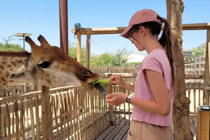 Dubai Safari Park Explorer: Full-Day Wildlife Safari & Optional Transfer photo 6